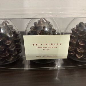 Pottery Barn Pinecone Candles - Brown and Silver
